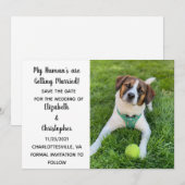 Mijn mens wordt een gehuwde foto van de hond save the date (Voorkant / Achterkant)