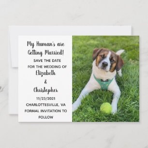 Mijn mens wordt een gehuwde foto van de hond save the date