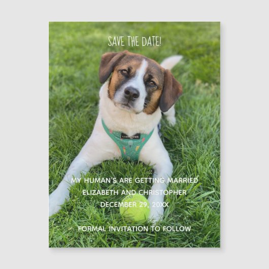 Mijn mens wordt gehuwd met foto's waarop de datum  (Voorkant)