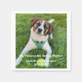 Mijn mens wordt getrouwd met Verloving Foto Servet