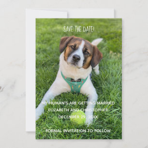 Mijn Mensen Gaan Trouwen Foto Save the Date Kaart