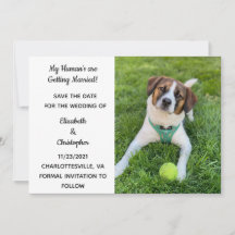 Mijn Mensen Gaan Trouwen Hond Foto Save The 