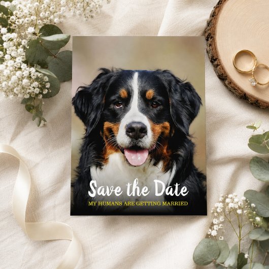 Mijn Mensen Gaan Trouwen | Hond Save the Date Briefkaart