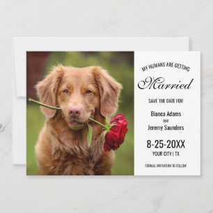 Mijn mensen krijgen een gehuwde hond. save the date