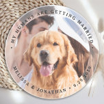 Mijn mensen krijgen een gehuwde Verloving Dog Foto Zandsteen Onderzetter<br><div class="desc">Viel je verloving om en geef een unieke bruiloft met een hond, behalve de datums met deze aangepaste foto, en gepersonaliseerde bruiloft 'Mijn mensen worden gehuwd', met uitzondering van het date onderzetter. Pas uw favoriete foto's, namen en datum aan. Dit onderzetter van de douane-fotobruiloft is perfect voor verlofpartijen, en een...</div>