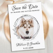 Mijn mensen krijgen een huwelijk met een hond. save the date