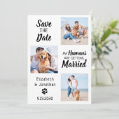 Mijn mensen krijgen een huwelijksfoto van Dog Wedd Save The Date (Staand voorkant)