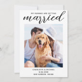 Mijn mensen krijgen een huwelijksfoto van Dog Wedd Save The Date (Voorkant)