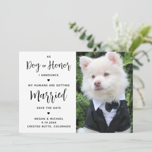 Mijn mensen worden gehuwd - honden bruiloft save the date (Staand voorkant)