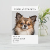 Mijn mensen worden gehuwd met een hond. save the date (Staand voorkant)