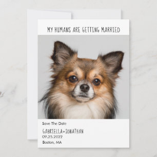Mijn mensen worden gehuwd met een hond. save the date