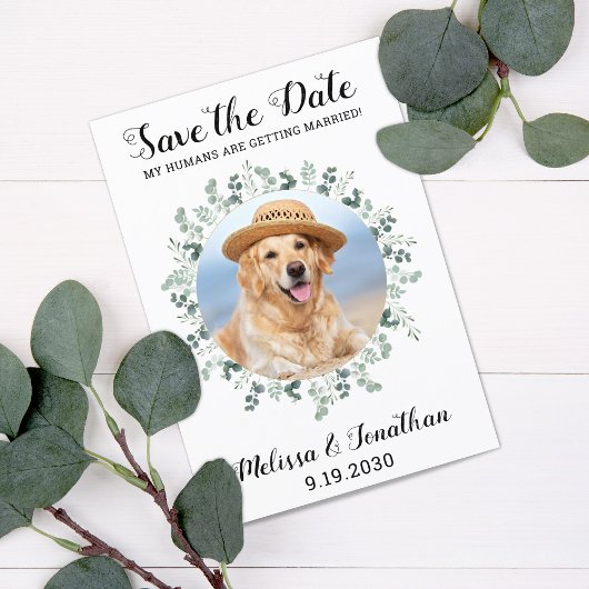 Mijn mensen worden gehuwd met Eucalyptus Pet Dog S Save The Date