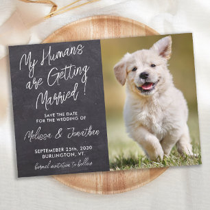 Mijn mensen worden gehuwd met Rustic Pet Photo Dog Save The Date