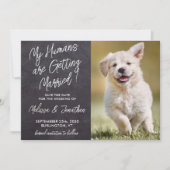 Mijn mensen worden gehuwd met Rustic Pet Photo Dog Save The Date (Voorkant)