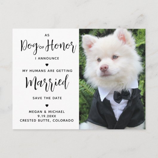 Mijn mensen worden gehuwd - moderne hondenweduwen aankondigingskaart (Voorkant)