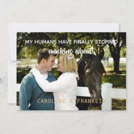 Mijn mensen zijn gestopt met het kotsen over Verlo Kaart