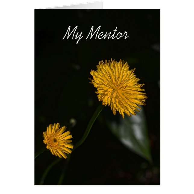 Mijn mentor (Voorkant)