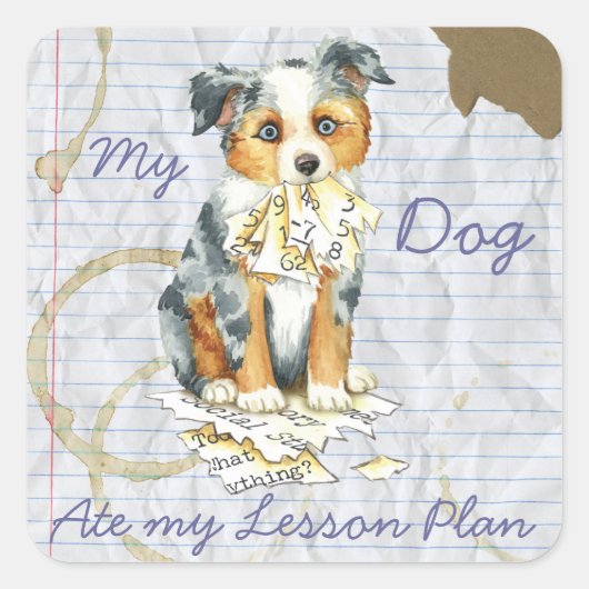 Mijn Mini American Shepherd Ate Mijn Lesson Plan Vierkante Sticker (Voorkant)