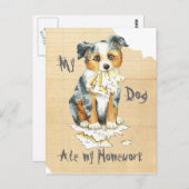 Mijn Mini American Shepherd Ate Mijn thuiswerk Briefkaart (Voorkant / Achterkant)