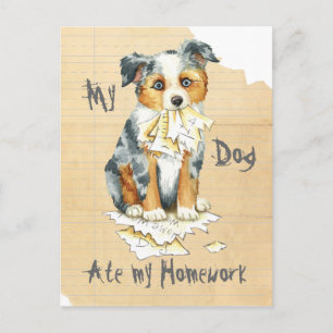 Mijn Mini American Shepherd Ate Mijn thuiswerk Briefkaart