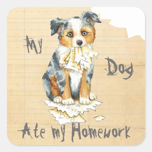 Mijn Mini American Shepherd Ate Mijn thuiswerk Vierkante Sticker (Voorkant)