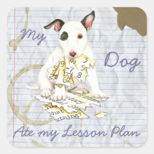 Mijn miniatuur Bull Terrier Ate Mijn Lesson Plan Vierkante Sticker