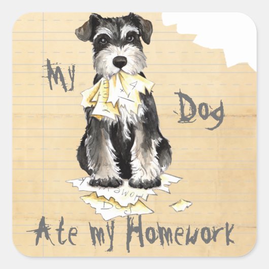 Mijn Miniatuur Schnauzer Ate Mijn Homework Vierkante Sticker (Voorkant)