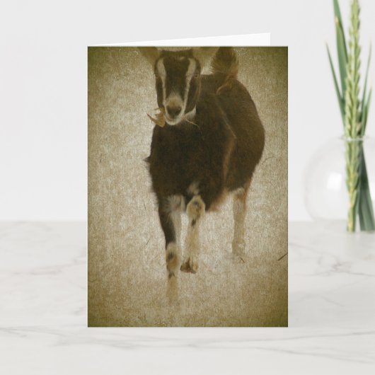 Mijn Misha Kaart (Voorkant)