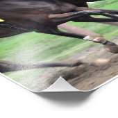 Mijn Miss Aurelia - De Adirondack Foto Afdruk (Hoek)