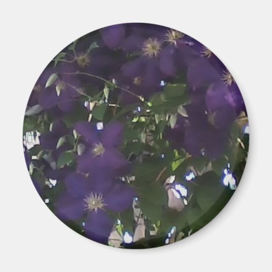 Mijn mobiele telefoon Foto van Mam's Clematis Magneet (Voorkant)