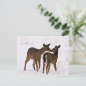 Mijn moeder houdt van me briefkaart (Staand voorkant)