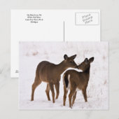 Mijn moeder houdt van me briefkaart (Voorkant / Achterkant)