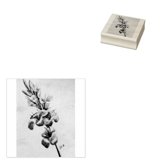 Mijn moeders Gladiolas Rubberstempel (Gestempeld)