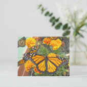 Mijn Monarch Butterflies-briefkaart Briefkaart (Staand voorkant)
