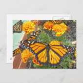 Mijn Monarch Butterflies-briefkaart Briefkaart (Voorkant / Achterkant)