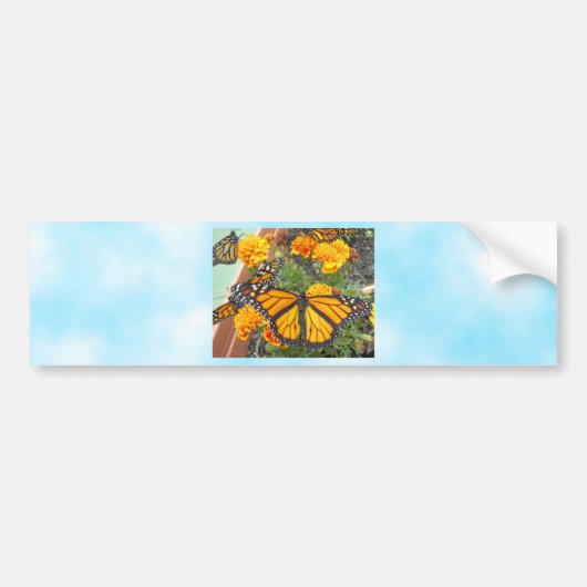 Mijn Monarch Butterflies-bumper sticker (Voorkant)