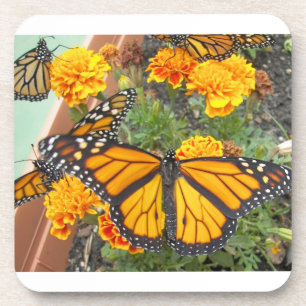 Mijn Monarch Butterflies-cork onderzetter