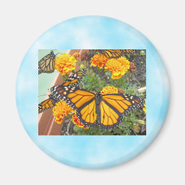 Mijn Monarch Butterflies-magnet Magneet