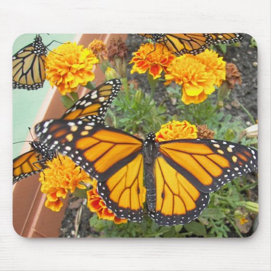 Mijn Monarch Butterflies-mousepad Muismat (Voorkant)