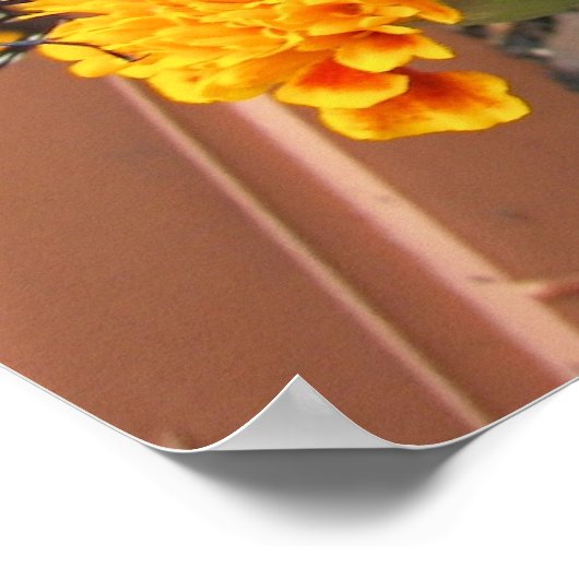 Mijn Monarch Butterflies-poster Poster (Hoek)