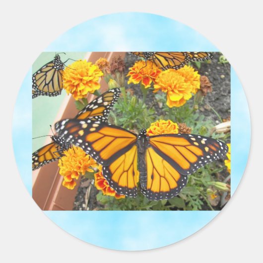 Mijn Monarch Butterflies-sticker Ronde Sticker (Voorkant)