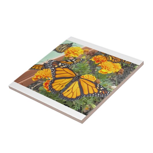 Mijn Monarch Butterflies-tegel Tegeltje (Zijkant)