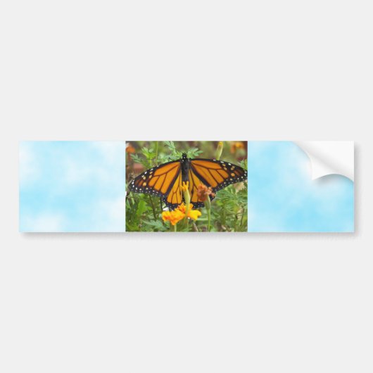 Mijn Monarch Butterfly-bumper sticker (Voorkant)