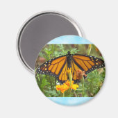 Mijn Monarch Butterfly magnet (Voorkant / Achterkant)