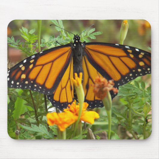 Mijn Monarch Butterfly-mousepad Muismat (Voorkant)