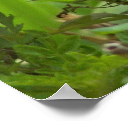 Mijn Monarch Butterfly-poster Poster (Hoek)