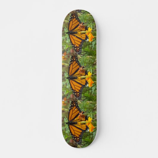 Mijn Monarch Butterfly skateboard (Voorkant)