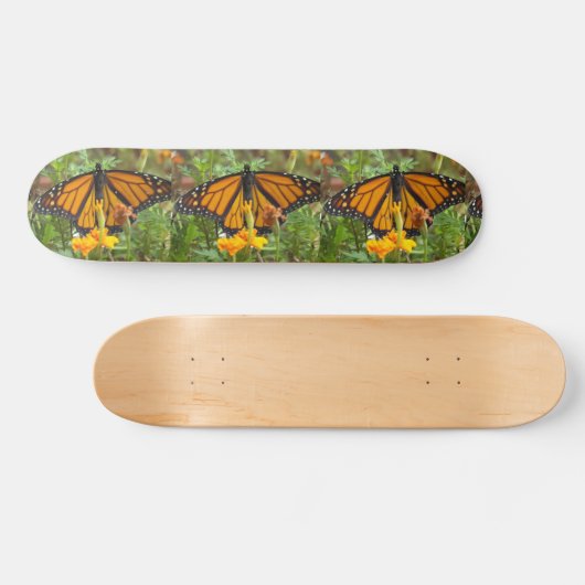 Mijn Monarch Butterfly skateboard (Horizontaal)