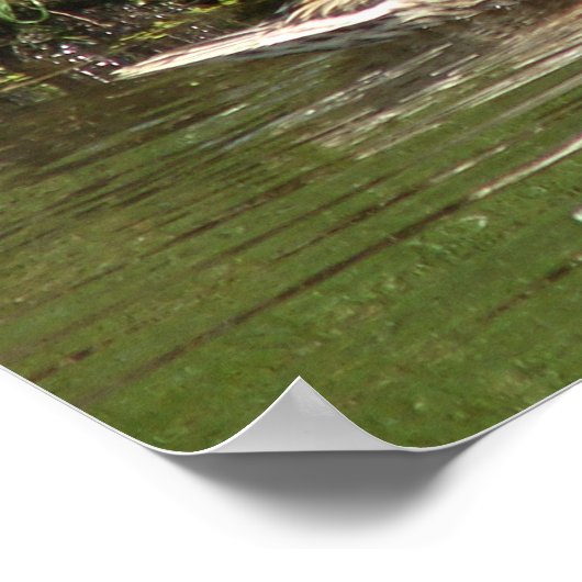 Mijn mooie meisje poster (Hoek)