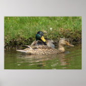 Mijn mooie meisje poster (Voorkant)